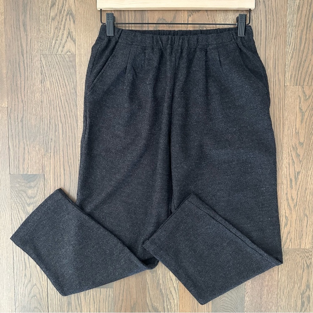 Eileen Fisher Boiled Wool High Waist Pleated Slim Leg Pant Charcoal Grey MP